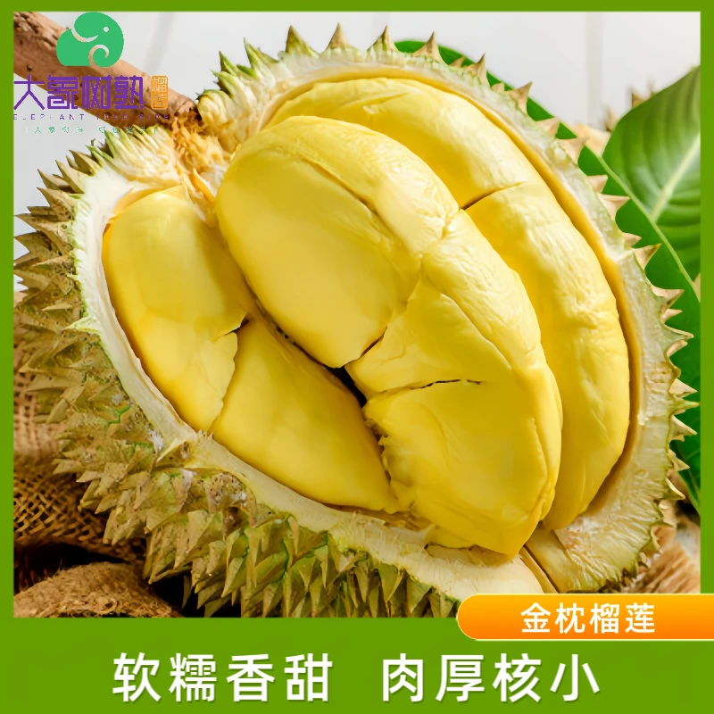 【珠海香洲】一果一拍 金枕榴莲 现拍现开 珠海小时达【大象树熟榴莲】