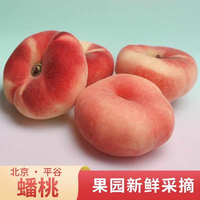 【顺丰EMS】北京平谷蟠桃5斤/2斤 新鲜桃子水果 精品礼盒