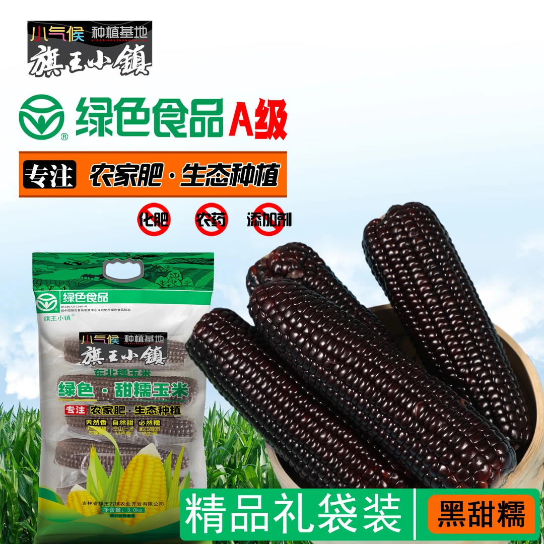 旗王小镇绿色A级黑甜糯玉米香甜玉米黑玉米甜糯东北糯玉米十月