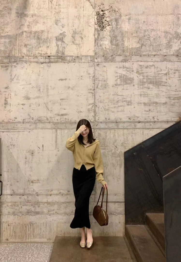 气质淑女高级感百搭女上衣裙子学院风小个子秋装丁达尔穿搭2024年