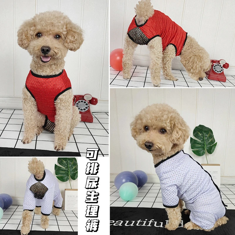 泰迪比熊小型犬连体生理裤月经期姨妈裤防骚扰避孕可小便高弹透气