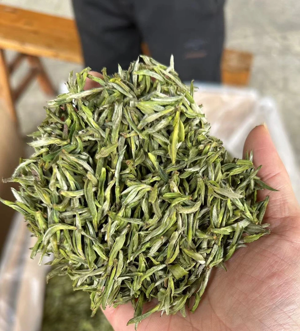 【25年新茶】早春头春头采米芽毛峰绿茶 兰花香 罐装礼盒装