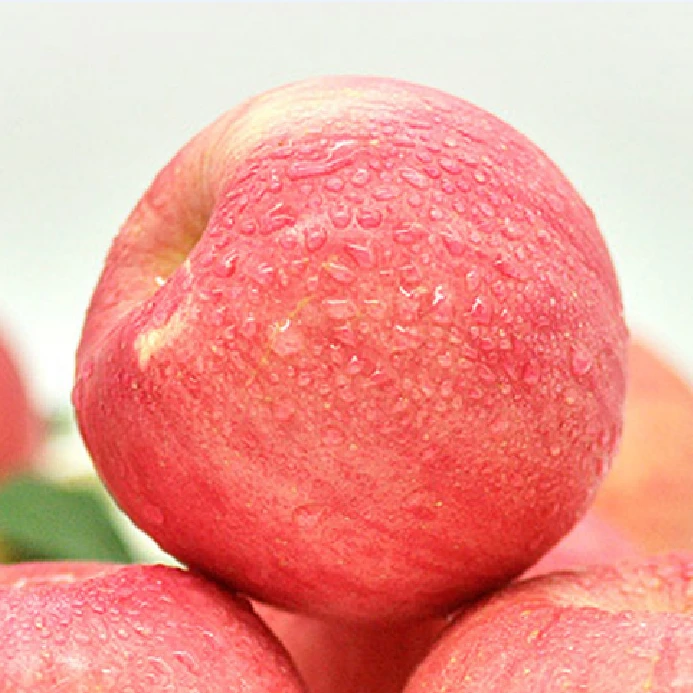 （礼品箱）河北邢台内丘岗底村浆水太行山冰糖心红富士果园包邮苹果