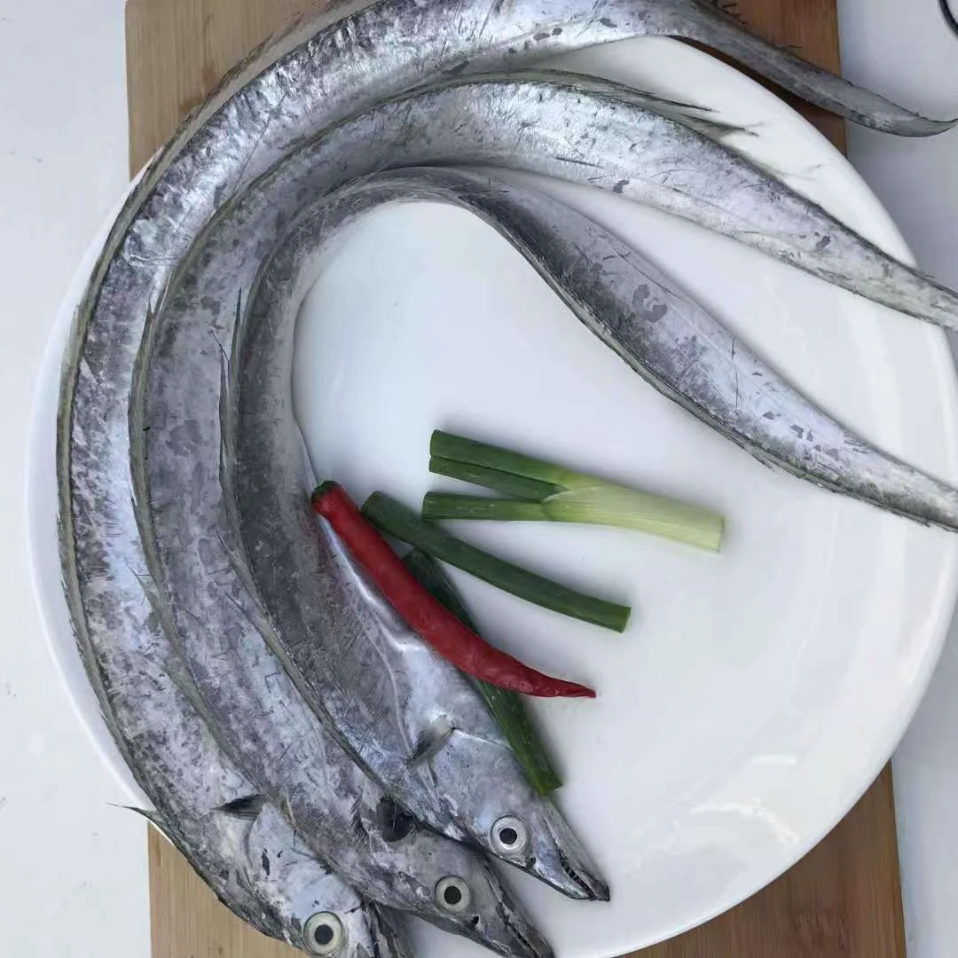 日照本地新鲜海捕小眼油带鱼 4斤（3-4两/条）