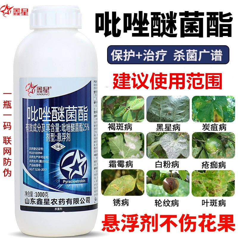 吡唑醚菌酯茵酯白粉病炭疽病叶斑病蔬菜花卉果树通用农药杀菌剂