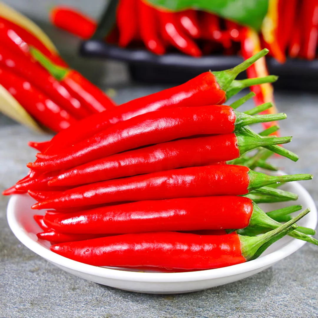 r小米椒新鲜现摘小米辣特辣红辣椒朝天椒指天椒泡椒剁椒产地批发
