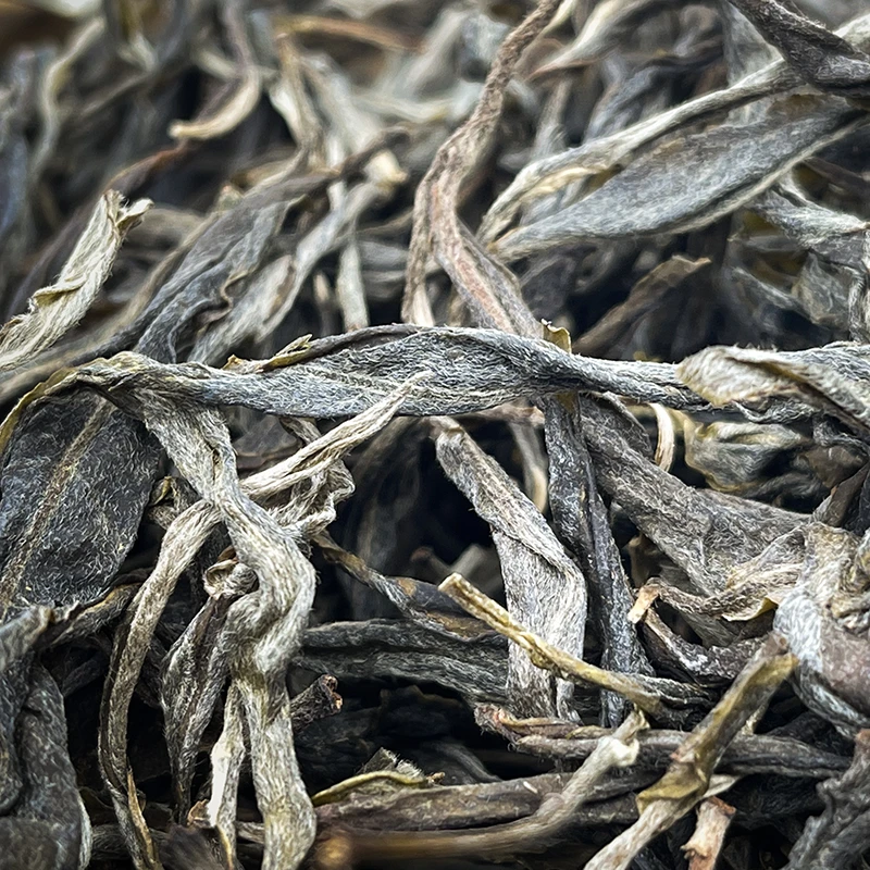 冰韵伍山  小户赛红土地古树 散茶 普洱生茶