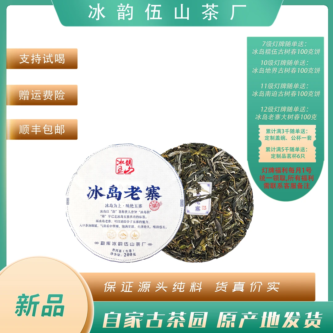 冰韵伍山 2023年春 冰岛老寨大树200g/饼 散茶 普洱生茶