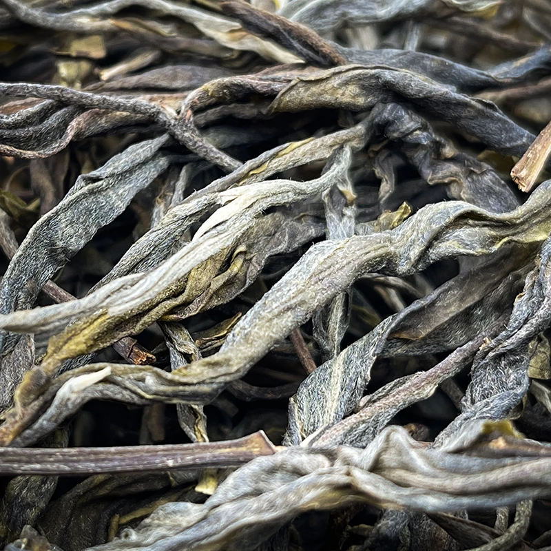 冰韵伍山 22年秋 冰岛老寨中小树100g-1000g 普洱生茶
