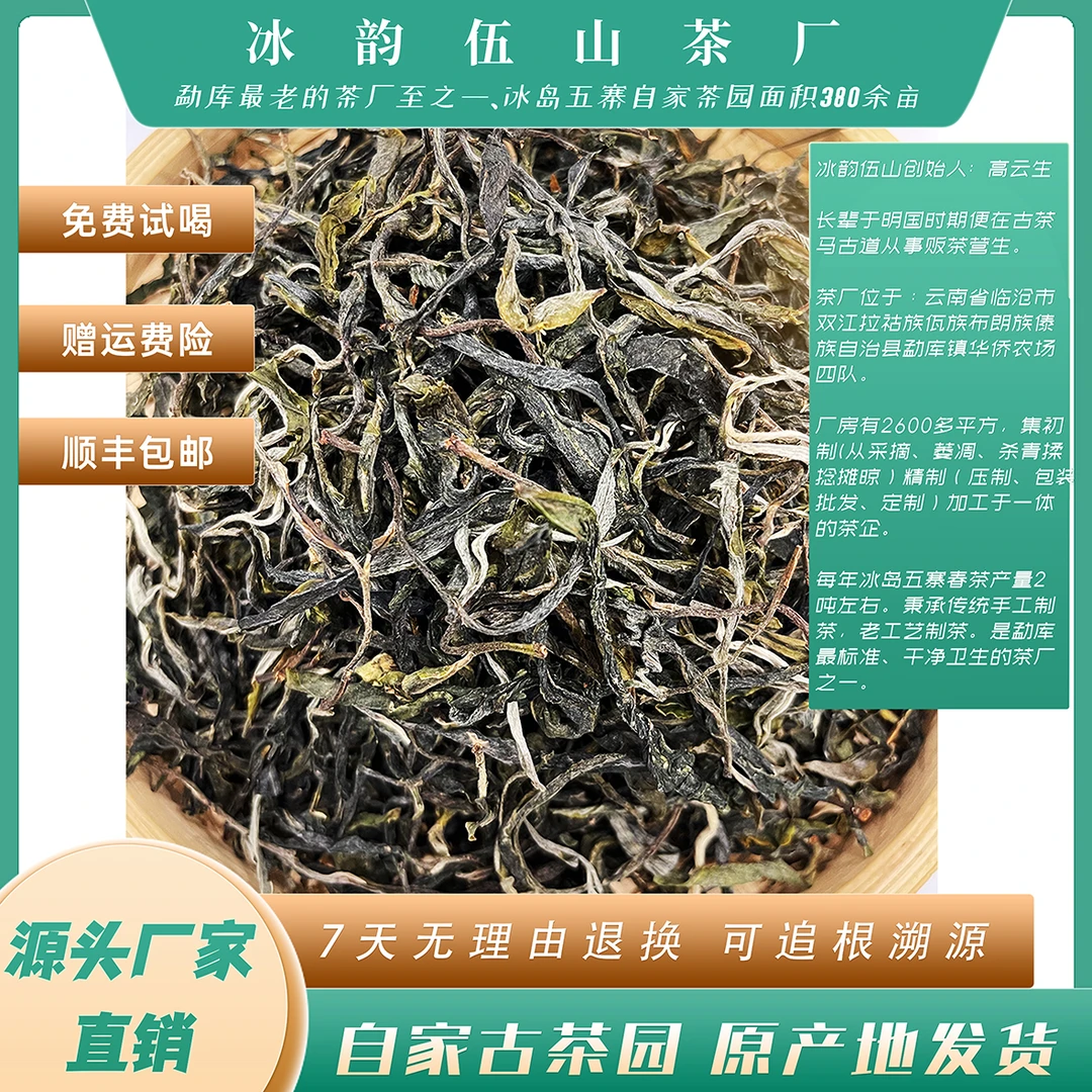 冰韵伍山 2023年秘境一号古树春茶 圈粉福利   普洱生茶