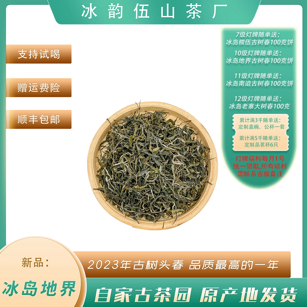 冰韵伍山 2023年头春 冰岛地界古树100g-1000g散茶 普洱生茶