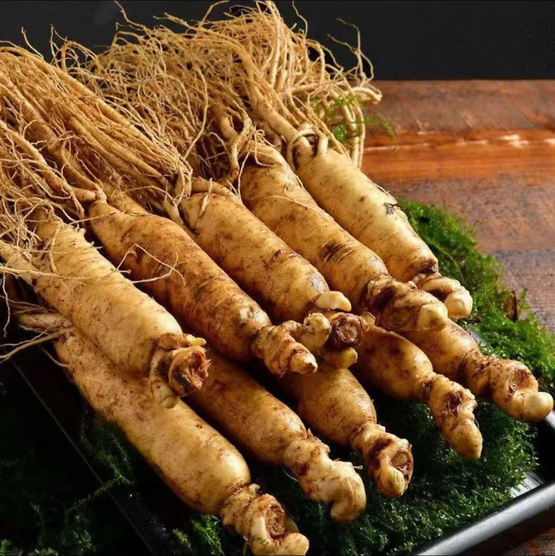 长白山新鲜人参单支35-40克 12-15支1斤空运到家现采现挖 新鲜