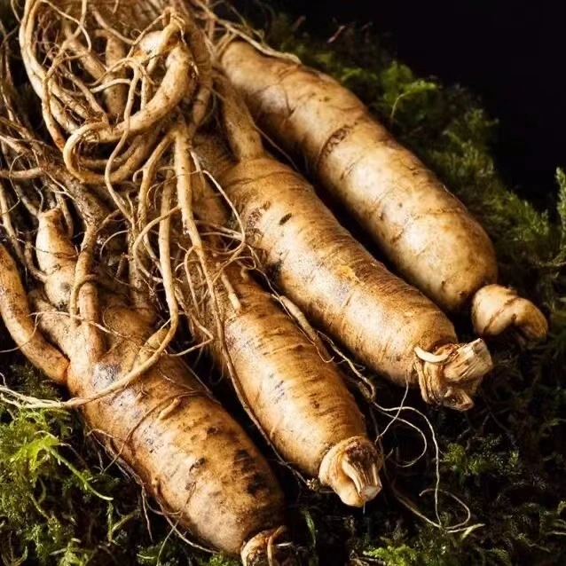 长白山新鲜人参 单支60克左右 8-10支 1斤装现采现挖空运到家