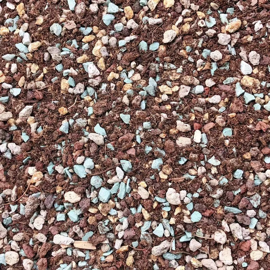 多肉植物种植土     景天专用土      一包5斤