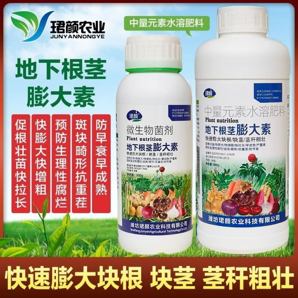 珺颜地下根茎块茎膨大剂素土豆红薯大蒜姜药材作物通用壮苗快速