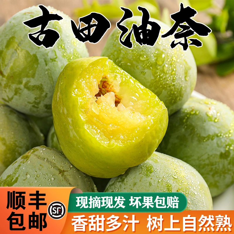 【皮厨大叔】【顺丰】福建古田油奈李子奈李新鲜水果桃形李青脆李