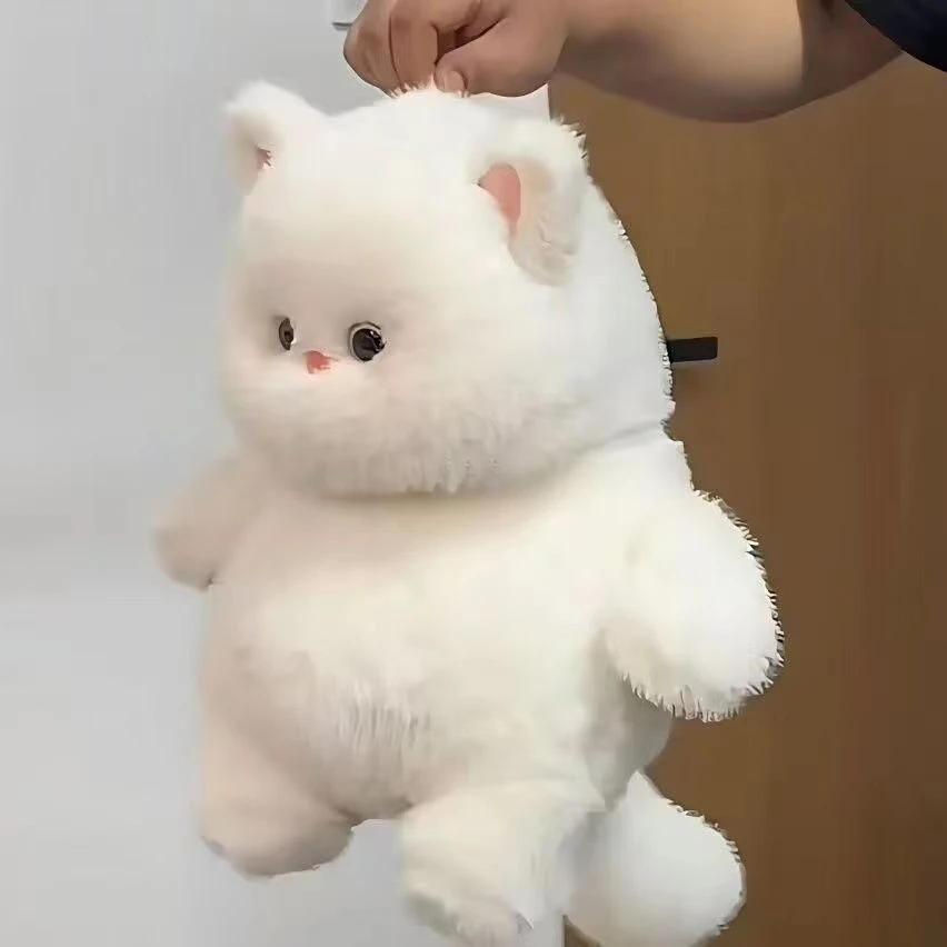 可爱猫咪白色超软毛绒玩具公仔超萌玩偶睡觉礼物女生生日礼物F551