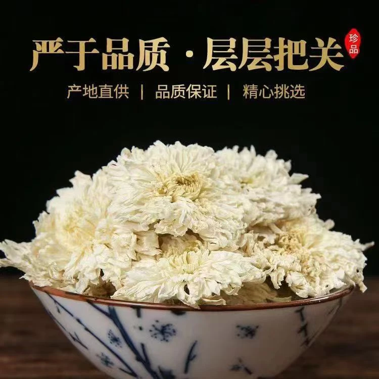 贡菊特级白菊花茶清热去火袋装散装批发正宗杭白菊菊花茶白菊花茶