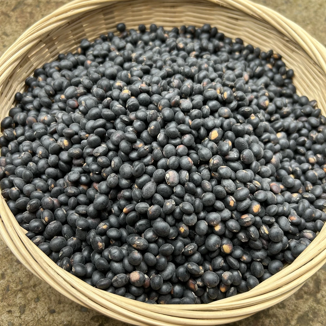 农家自种 自然晾晒黑豆