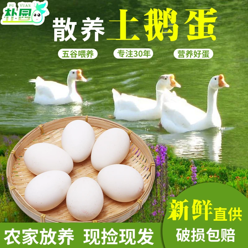 正常发货大白鹅蛋新鲜散养土鹅蛋孕妇处子鹅蛋营养优质