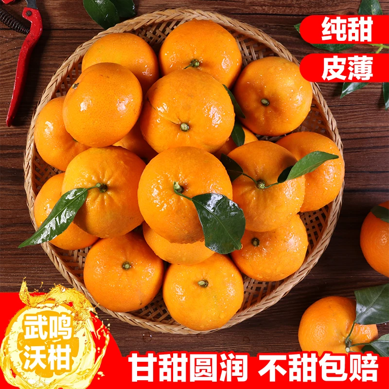 广西武鸣沃柑礼盒装香甜爽脆多汁应季水果新鲜橘子橙子6/9斤