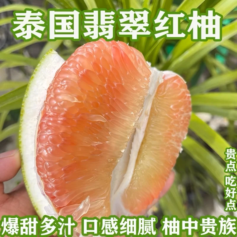 新鲜青皮红心柚子当季现摘大果红肉青柚孕妇水果金柚蜜柚整箱包邮