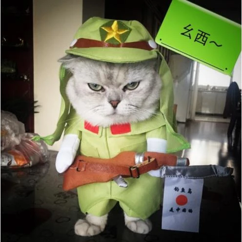 ++八嘎装春款狗狗猫咪衣服网红搞笑搞怪可爱宠物巴哥比熊泰迪柴犬