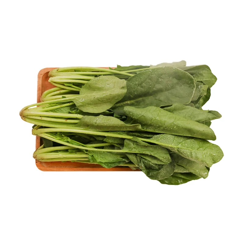 悦鲜派坝上菠菜300g/袋