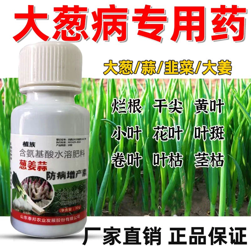 大葱杀菌剂干尖黄叶专用药氨基酸水溶肥料抗病增产叶面肥喷施农肥