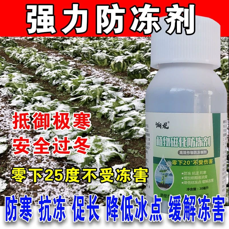 【植物防冻液】抗冻剂果树蔬菜苗木防寒安全过冬防冻剂植物防冻液