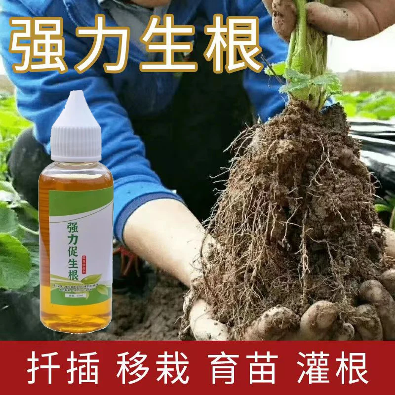 快速生根液粉剂移栽扦插生根水营养液植物通用强力多肉壮苗生根粉