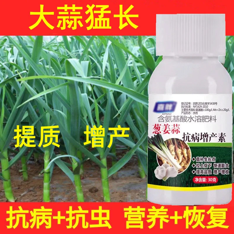 大蒜抗病膨大剂大蒜专用有机肥增产膨大素控旺抗病防虫叶面肥农用