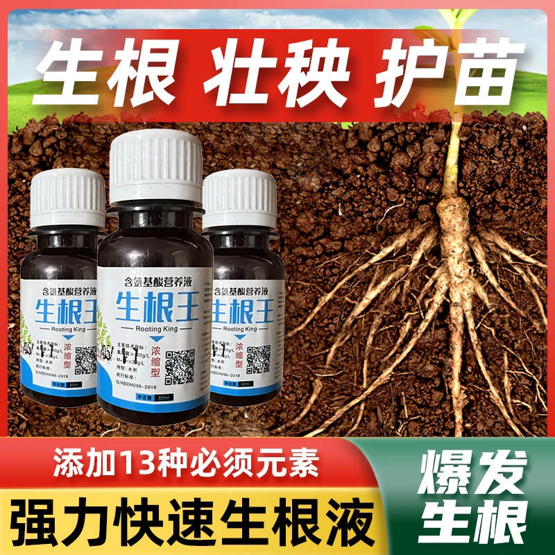 浓缩型强力生根剂植物快速生根液植物营养液家庭园艺水培扦插适用