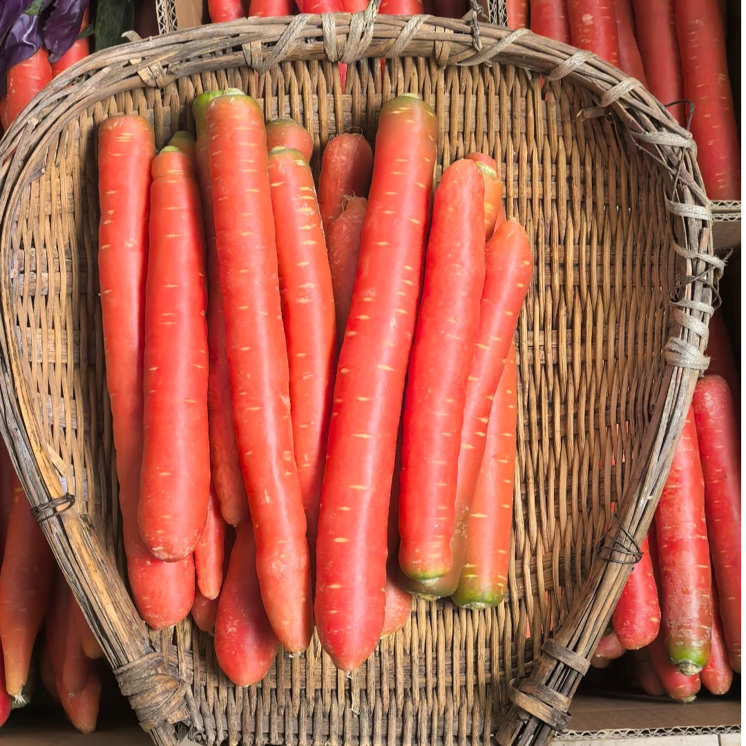 四川本地胡萝卜新鲜沙地红萝卜农家蔬菜红心脆甜沙窝3/5/8斤包邮