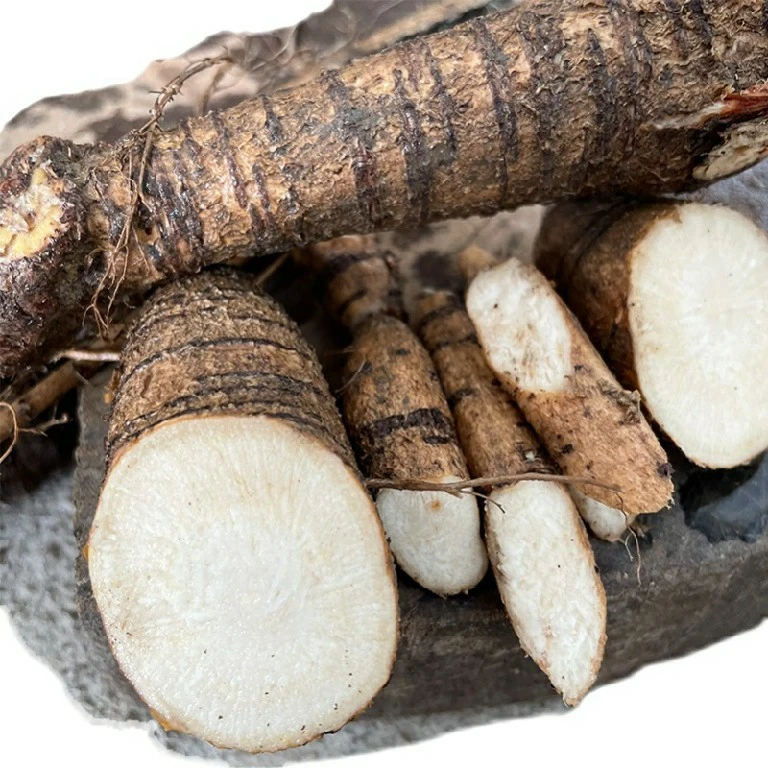 广西野生牛大力250克起售