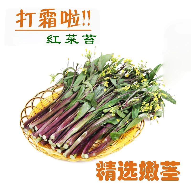 【顺丰包邮-保温箱包装】湖北生态露天红菜苔洪山菜苔新鲜蔬菜2-3斤