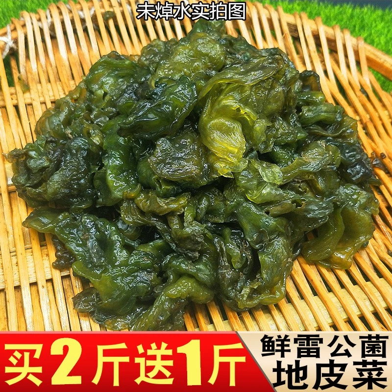 地皮菜新鲜湖南雷公菌地软菜500g达耳地皮菇雷公屎野生蔬菜雷打皮