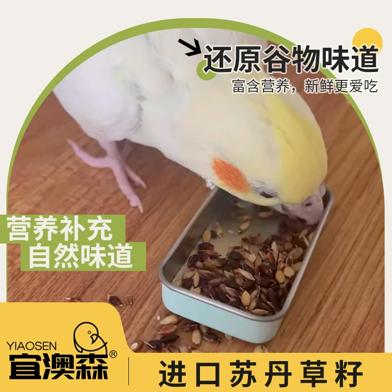 鹦鹉鸟粮鸟食天然野草籽零食补充微量元素高蛋白玄凤虎皮牡丹鹦鹉
