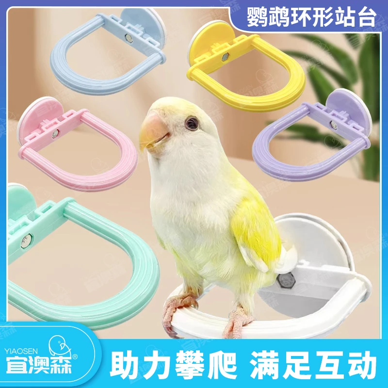 鹦鹉小鸟缤纷色彩环形站架鸟站架防滑站杆防水站杆棍耐啃咬