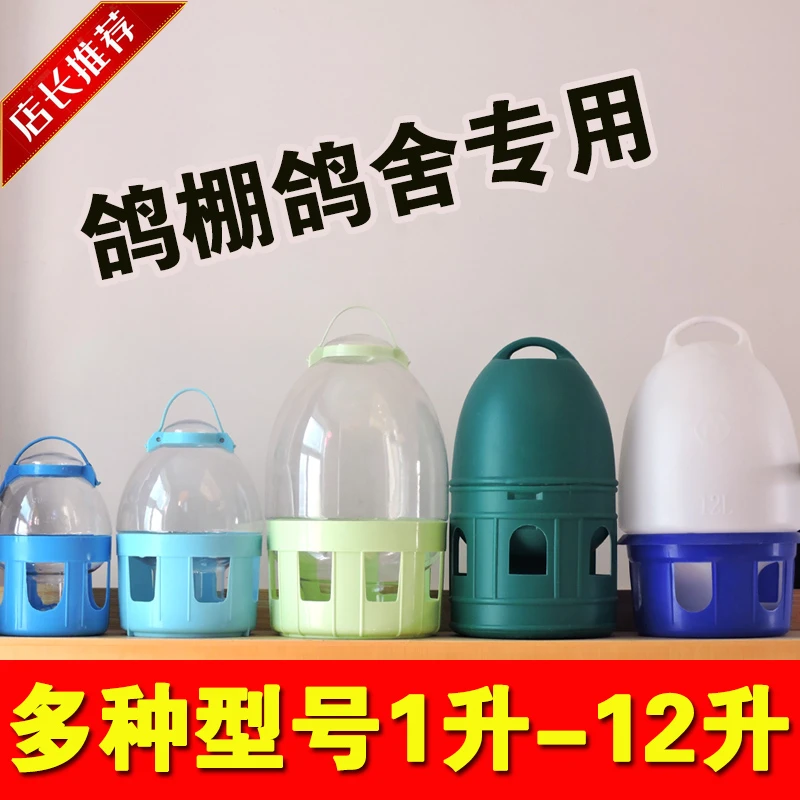 鸽子饮水器水槽喝水壶鸽具信鸽用品用具赛鸽鸟用鸽棚鸽舍饮水壶