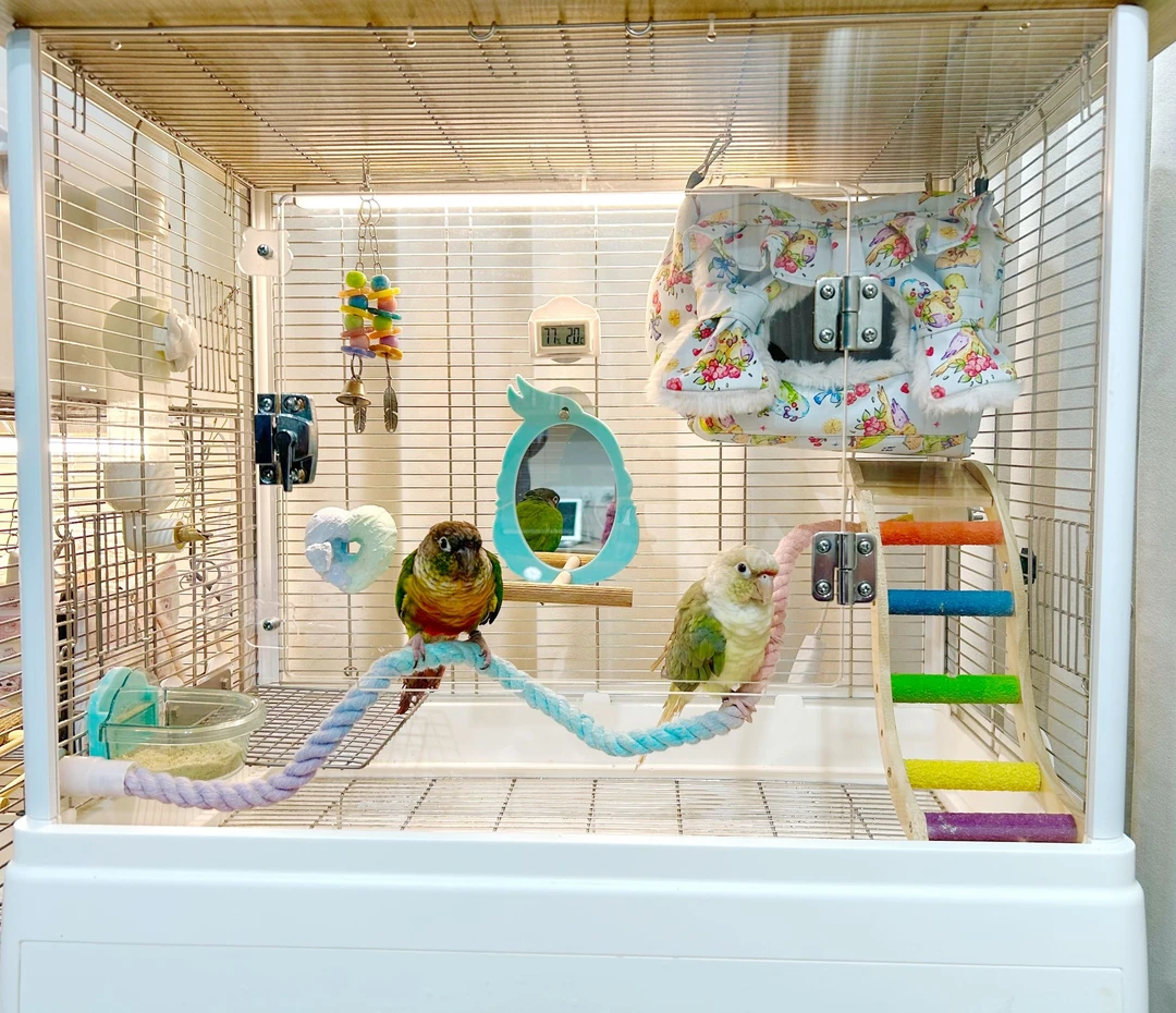 304不锈钢62豪华别墅鸟笼透明大号大型鹦鹉专用笼子繁殖笼家用