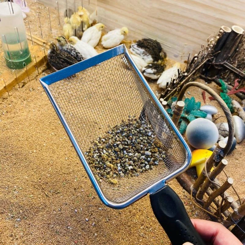 芦丁鸡无尘高品质核桃砂不锈钢漏勺铲仓鼠垫料发酵床核桃砂无灰尘