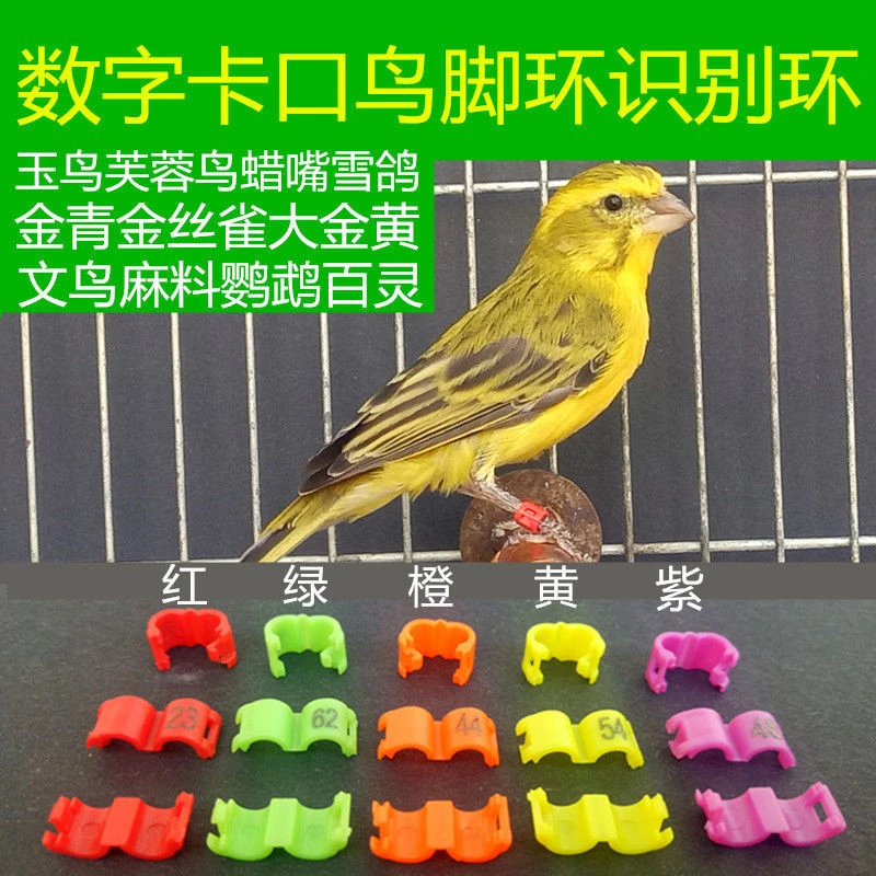 芦丁鸡脚环玉鸟识别环开口鸟足环鸟记号环金青文鸟脚环芙蓉鸟鹦鹉