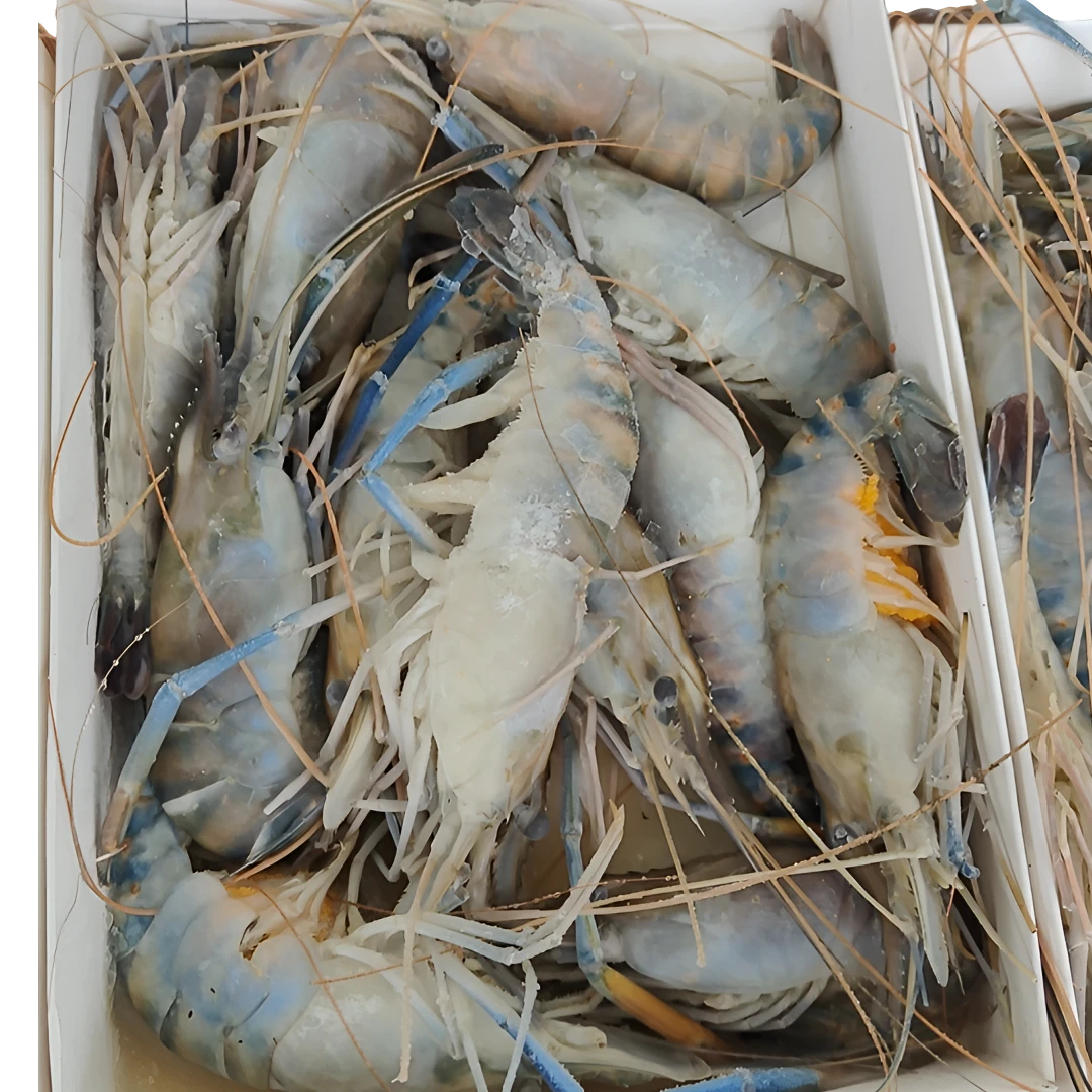 【活冻13/15】液氮生虾新鲜罗氏沼虾大号速冻锁鲜海洋大虾高邮大虾