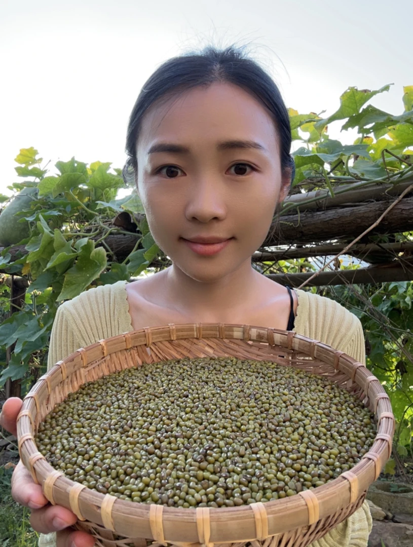农村老种非转小绿豆