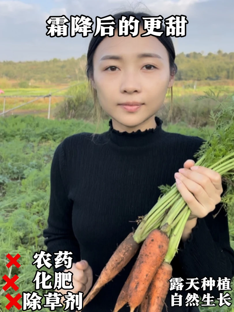 米袋姐农家肥生态胡萝卜