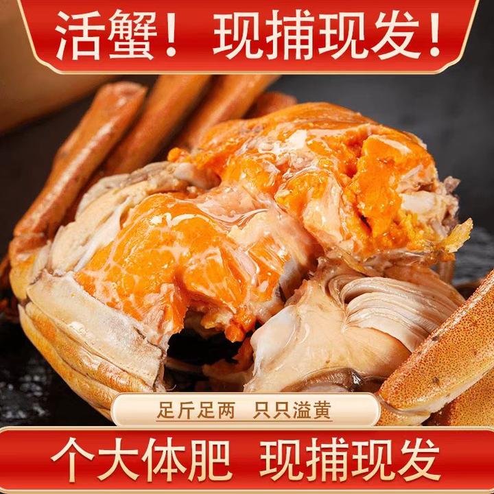 【活蟹现发】2两全母蟹12只礼盒装苏州精品大闸蟹全母蟹鲜活大螃蟹
