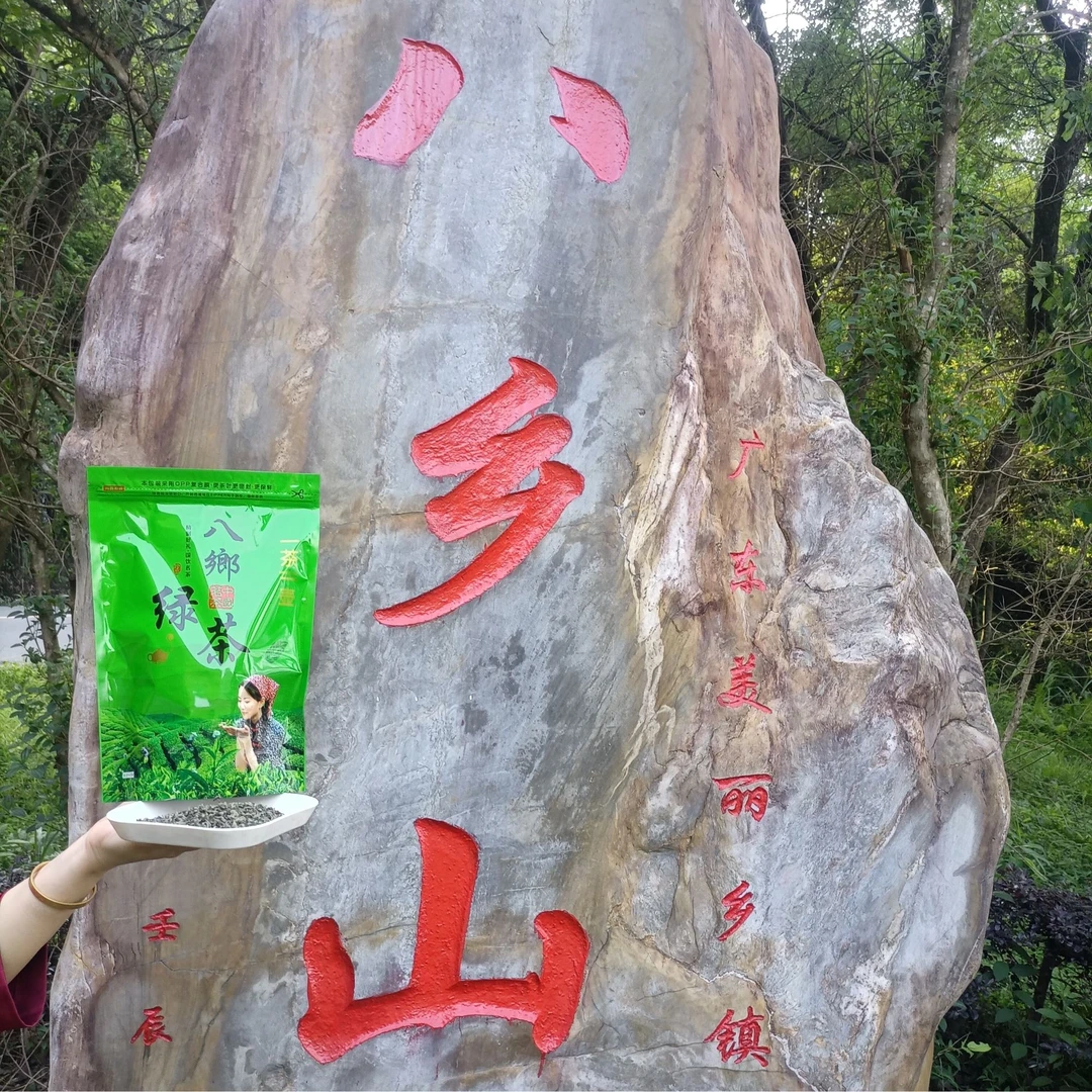 八乡高山云雾日照绿茶柴火炒梅占绿茶