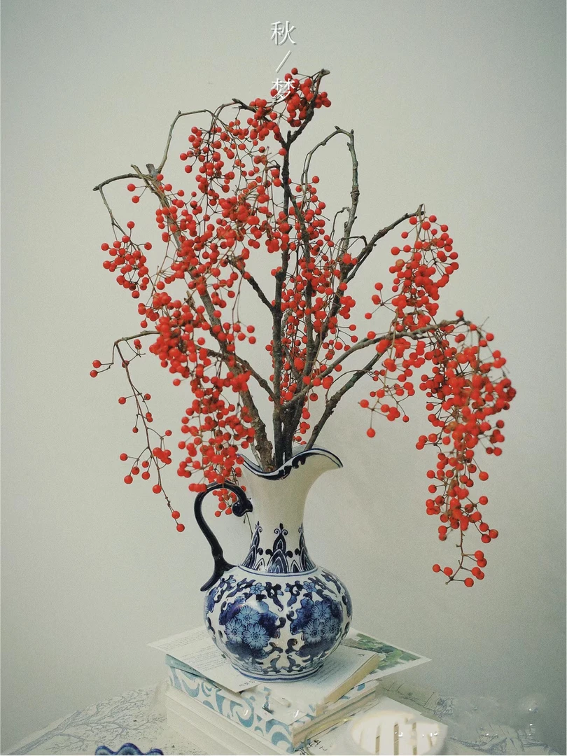 【拾花拾木】红桐果/鸿运连连  鲜花云南鲜花