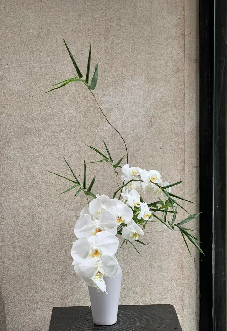 【拾花拾木】福袋花束 鲜花云南鲜花